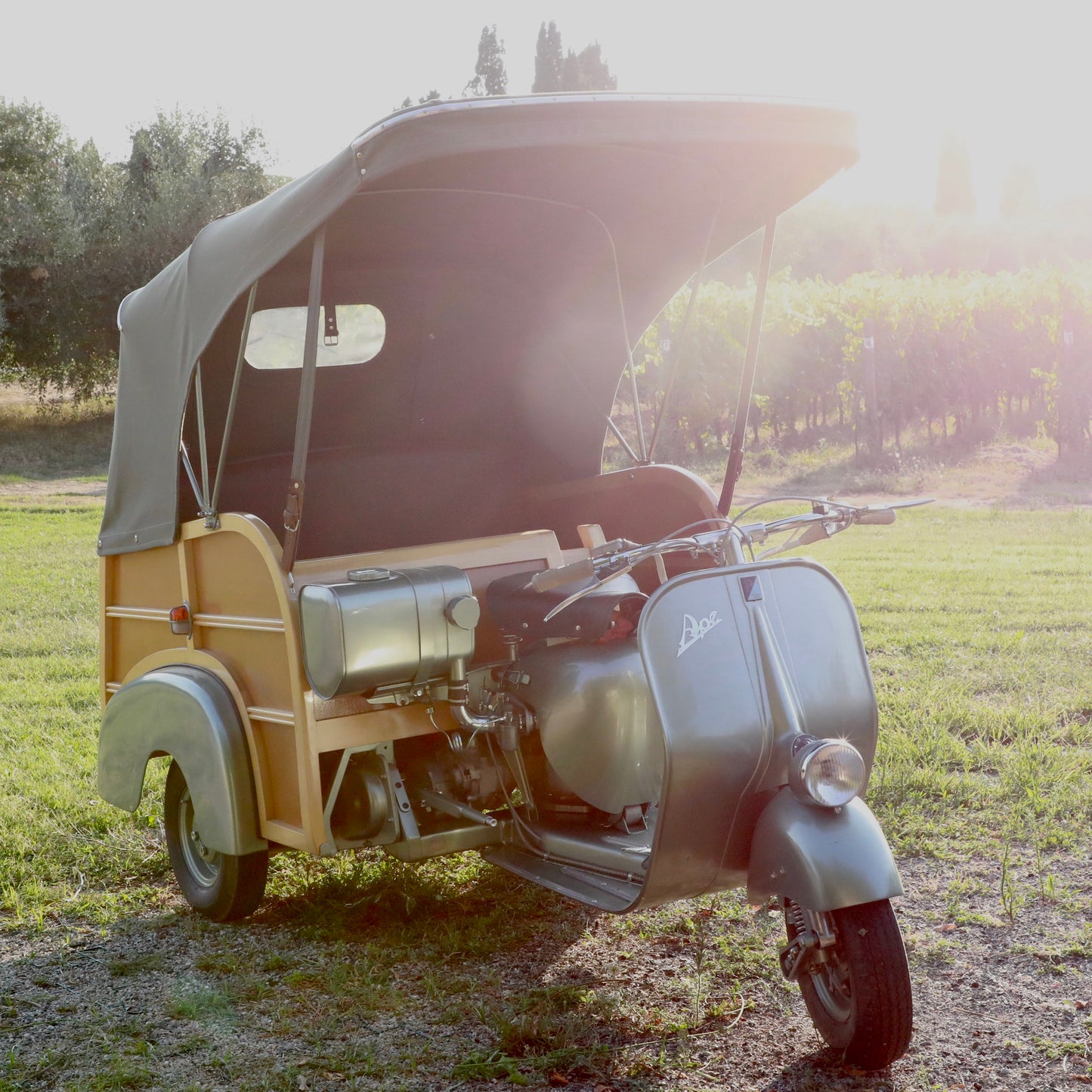 Wine Tasting in Vintage Ape