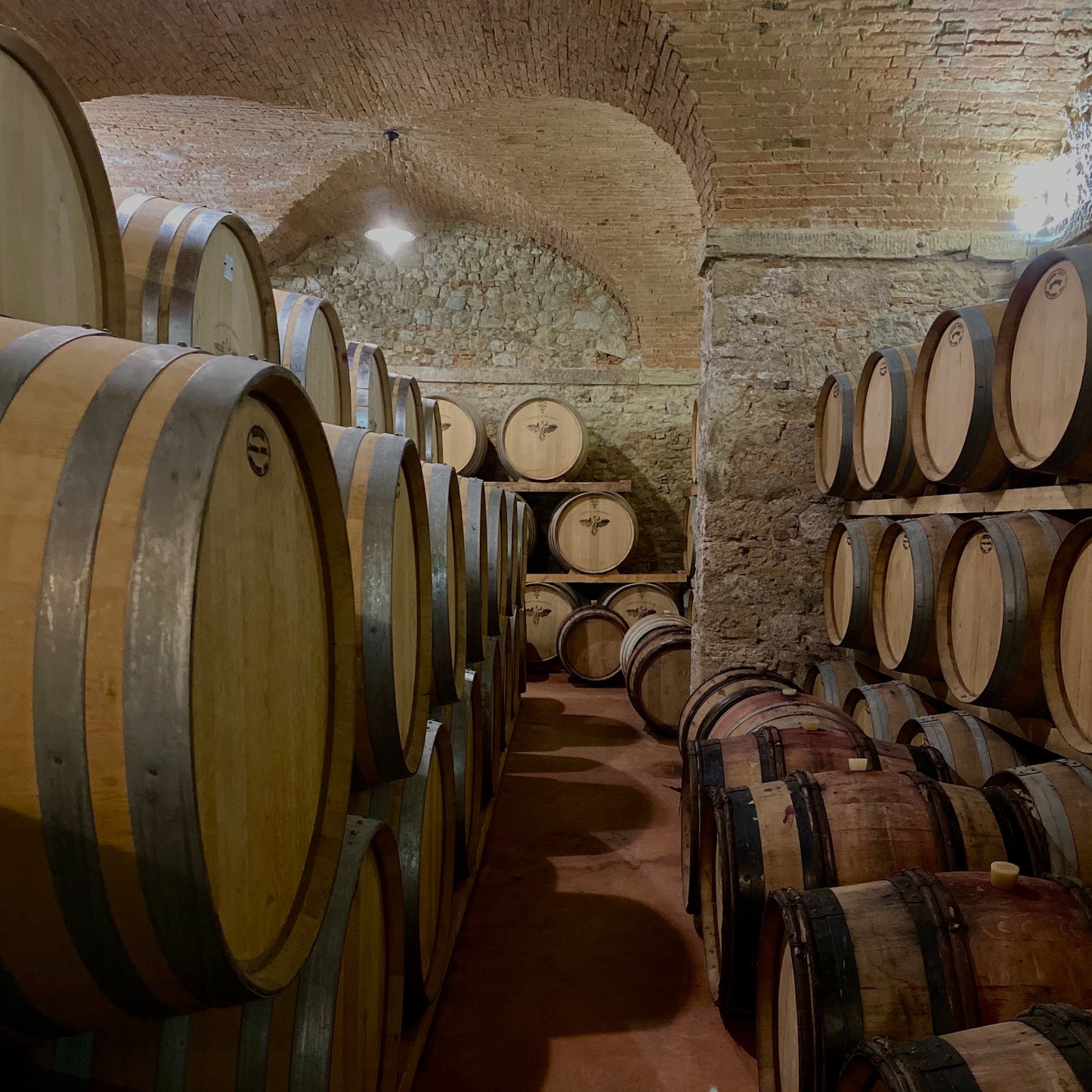 Visit two Bolgheri Wineries + superb Lunch