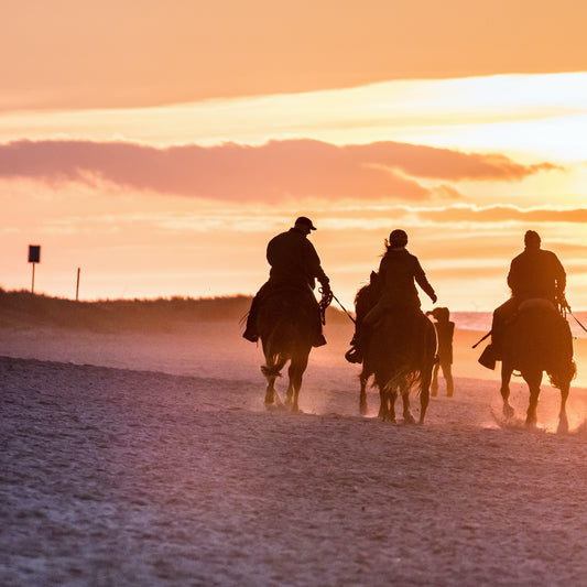 Horseback Riding at the Beach (Nov-March only)